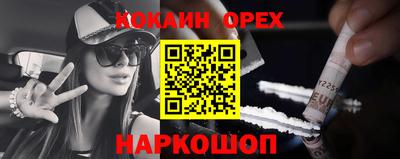 стаф Дубна