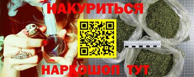 стаф Дубна