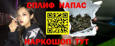 стаф Дубна