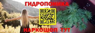 стаф Дубна