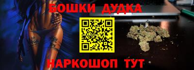 стаф Дубна