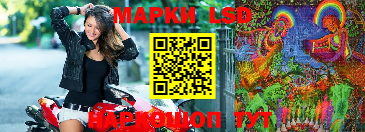 Наркотические марки 1500мкг  Вход с VPN  Кумертау  Наркотические марки 1500мкг 