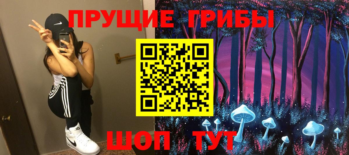 Псилоцибиновые грибы Psilocybine cubensis Кумертау
