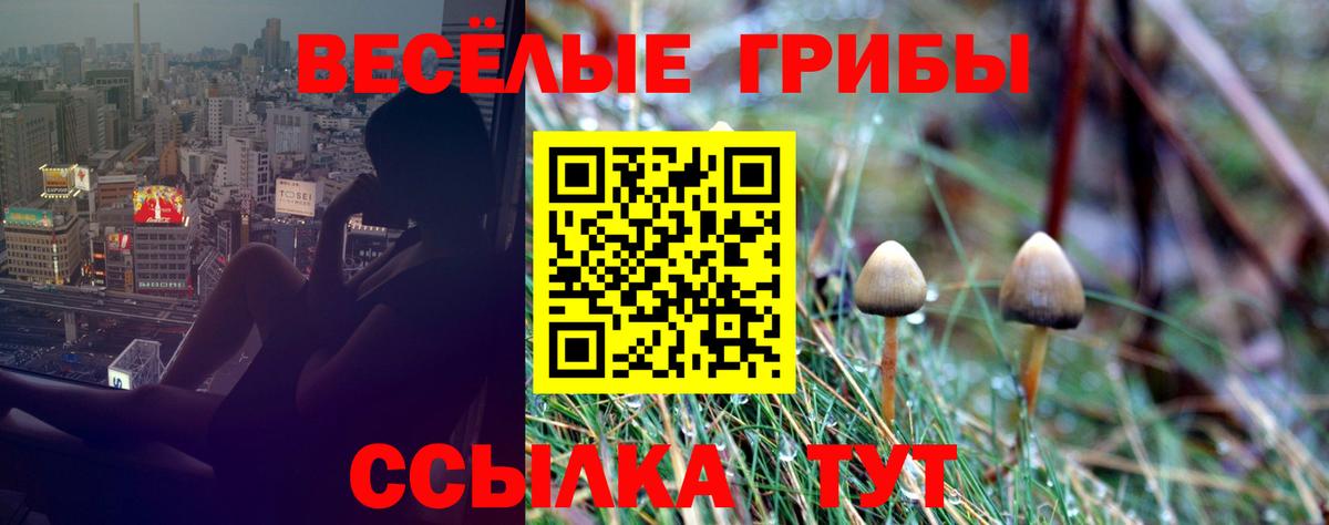 Кумертау  Галлюциногенные грибы MAGIC MUSHROOMS  Вход с VPN 